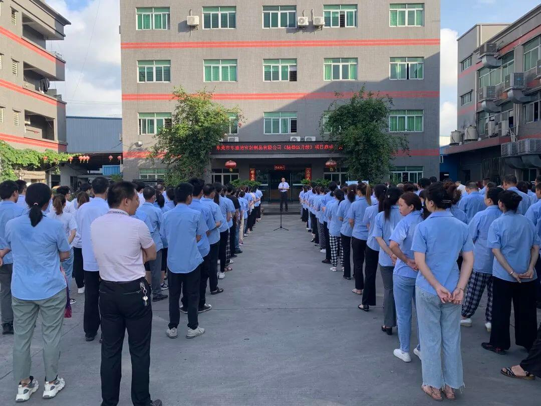  精益6S升級項(xiàng)目誓師大會